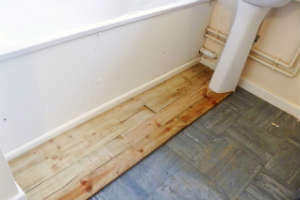 Перш за все, не всяка деревина підійде для чистового підлоги у ванній