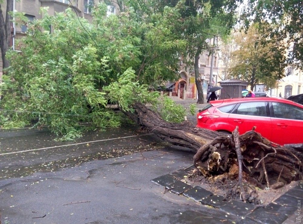 В Одеській області в середу, 12 жовтня, спостерігаються складні погодні умови з поривами вітру 15-20 м / с і дощем