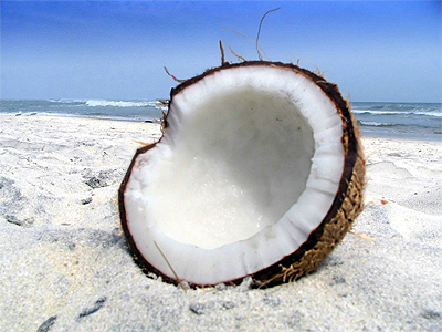 кокосовий горіх
