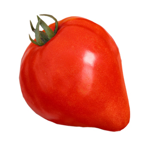 Постійно висаджуючи нові гібриди та сорти томатів на своїй ділянці, ви, напевно, шукайте найсмачніші і врожайні