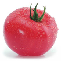Плоди просто тануть у роті, завдяки чому томат знову і знову притягує до себе